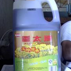 壓榨原香純菜籽油4.5L